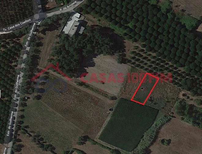 Terreno Agricola ou Rústico para Venda em Batalha Foto 5