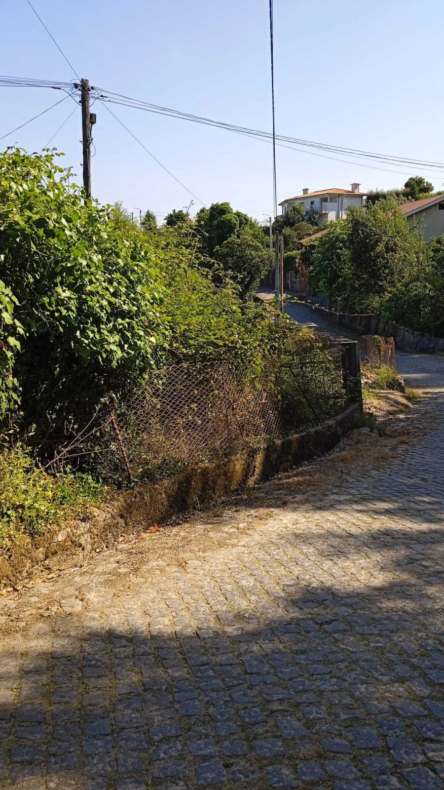 Terreno para Venda em Areias de Vilar e Encourados Foto 2
