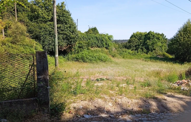Terreno para Venda em Areias de Vilar e Encourados Foto 3