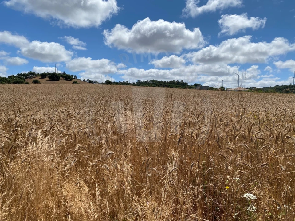 Quinta para Venda em Porto Covo Foto 7