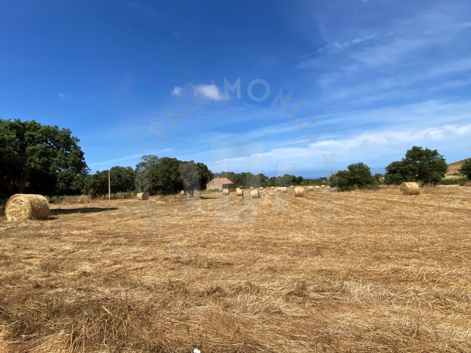 Quinta para Venda em Porto Covo Foto 10