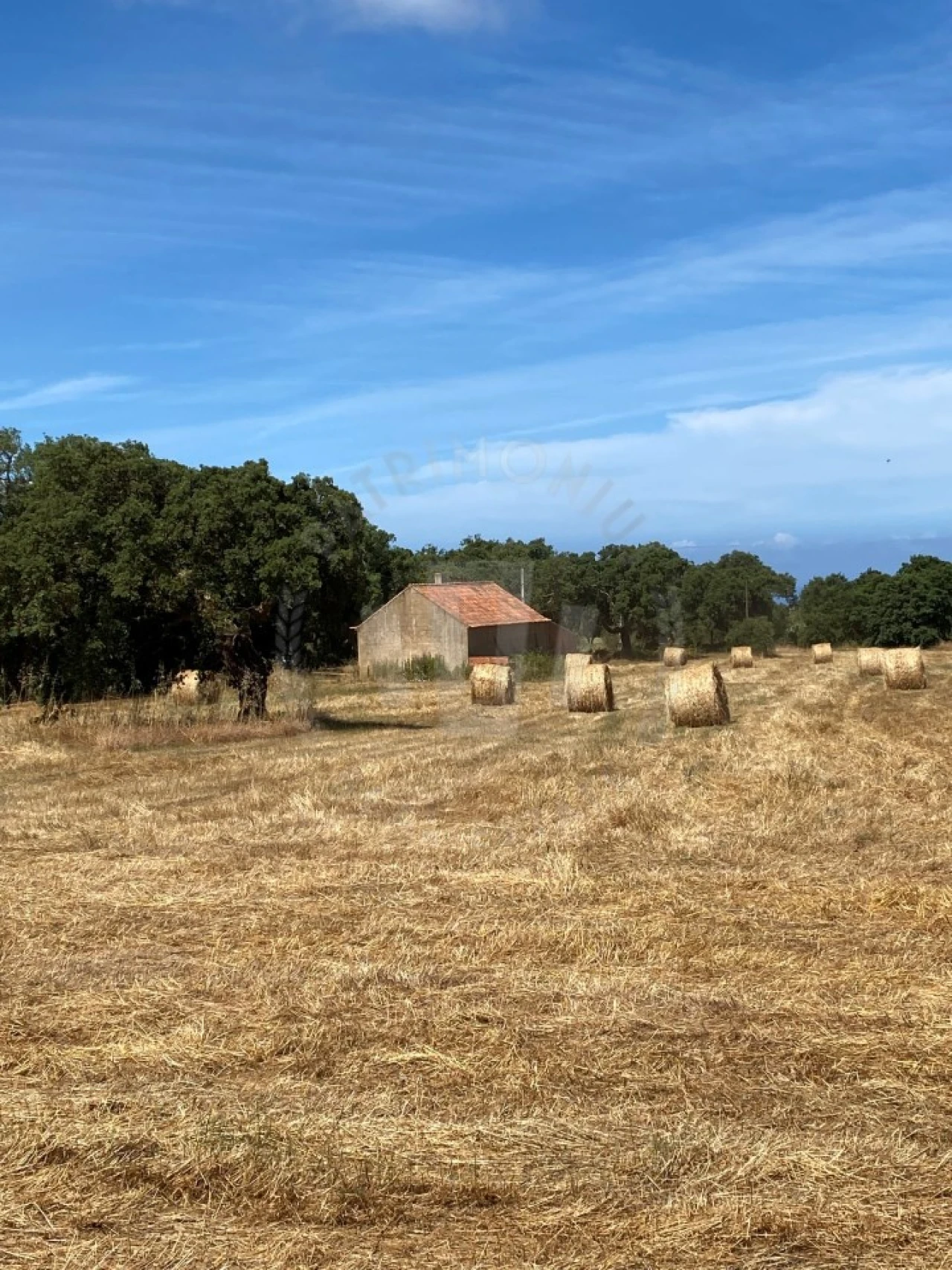 Quinta para Venda em Porto Covo Foto 11