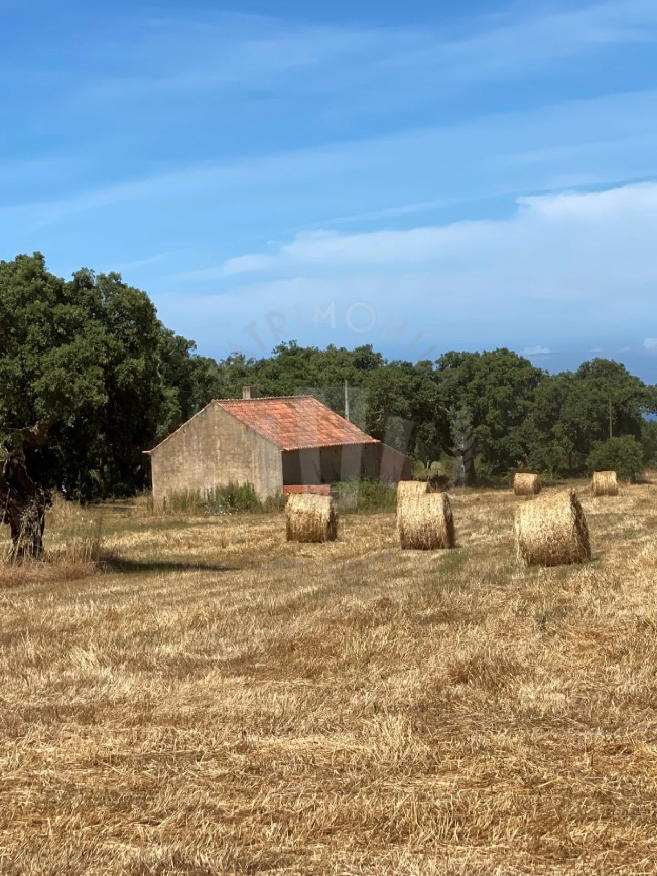 Quinta para Venda em Porto Covo Foto 13