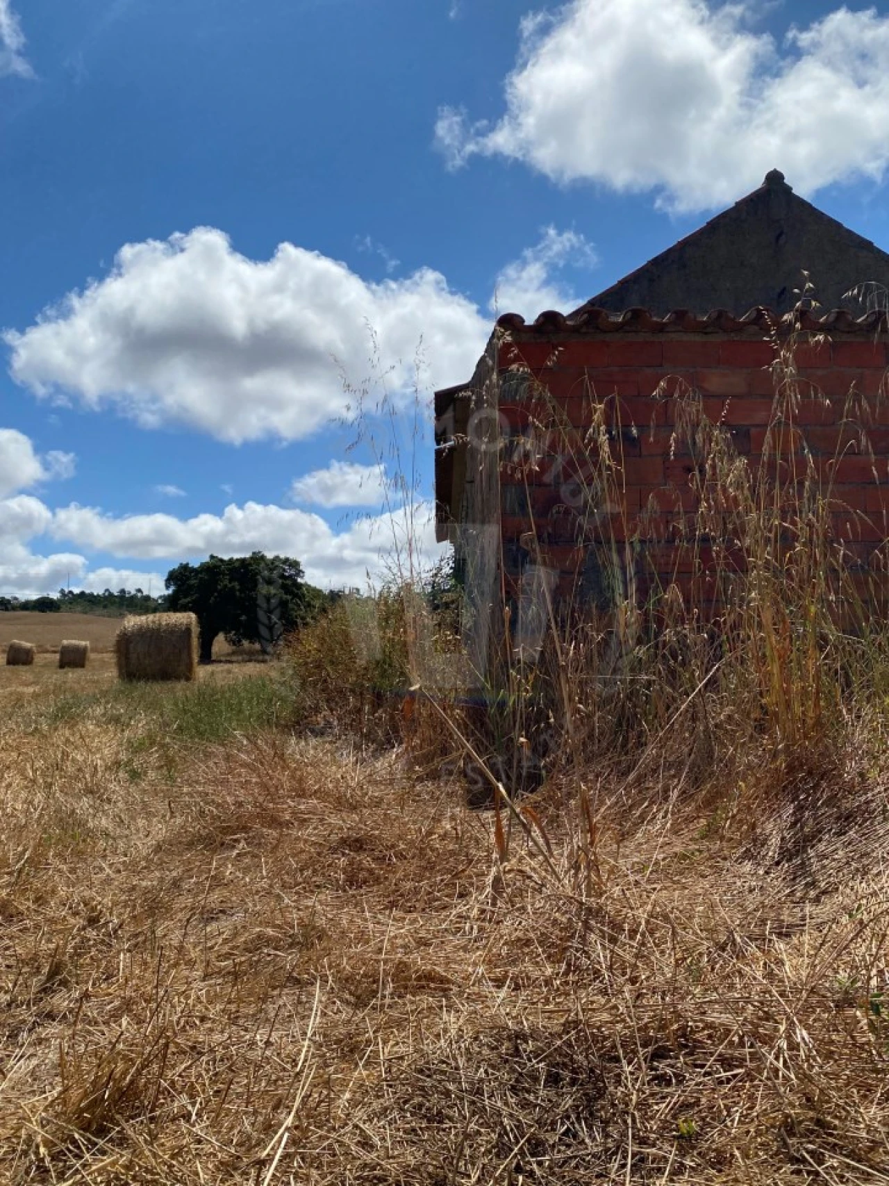 Quinta para Venda em Porto Covo Foto 26