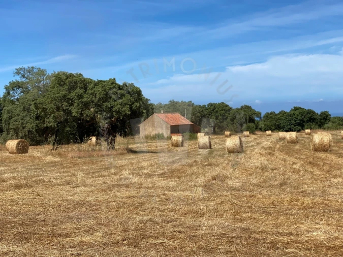 Quinta para Venda em Porto Covo Foto 8