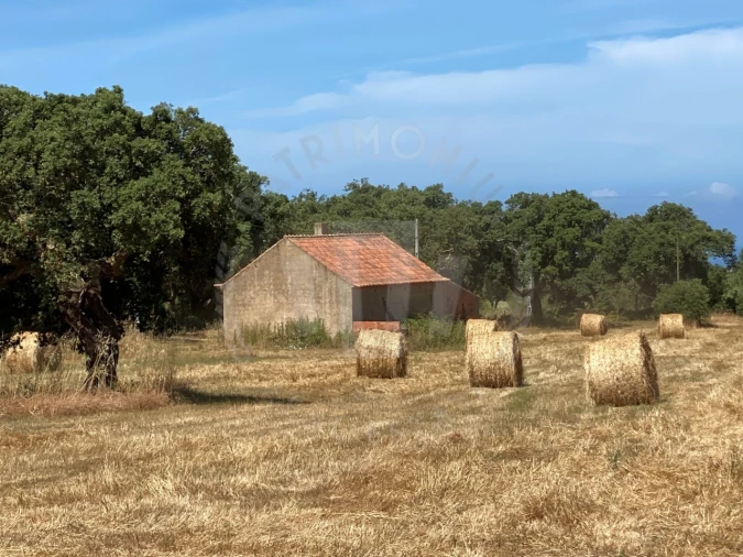 Quinta para Venda em Porto Covo Foto 9