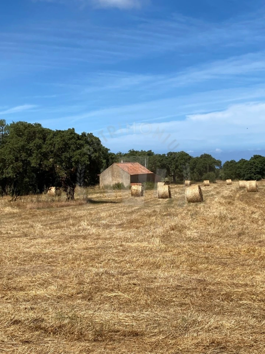 Quinta para Venda em Porto Covo Foto 11