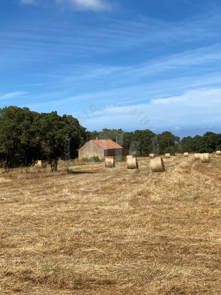 Quinta para Venda em Porto Covo Foto 12