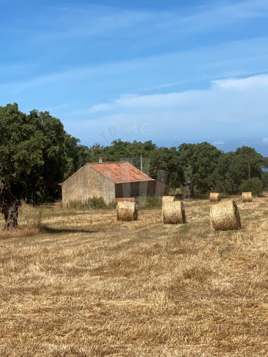 Quinta para Venda em Porto Covo Foto 13