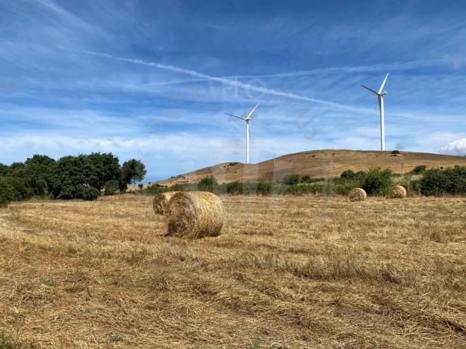 Quinta para Venda em Porto Covo Foto 19