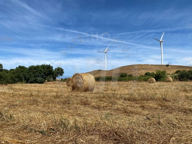 Quinta para Venda em Porto Covo Foto 21