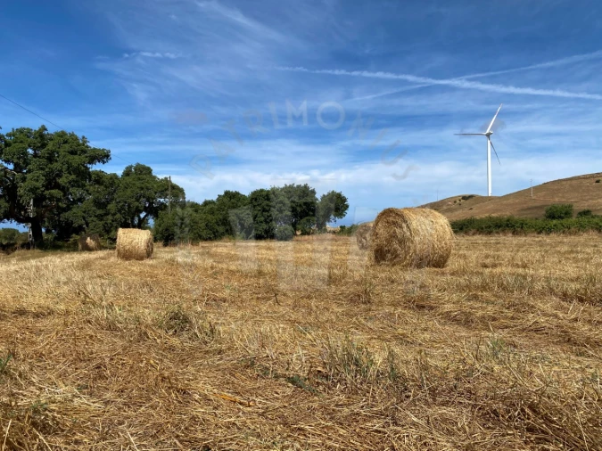 Quinta para Venda em Porto Covo Foto 22