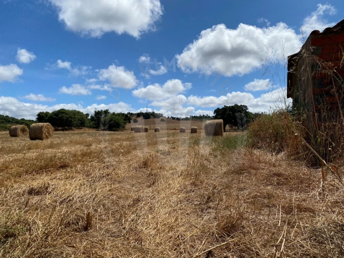 Quinta para Venda em Porto Covo Foto 23