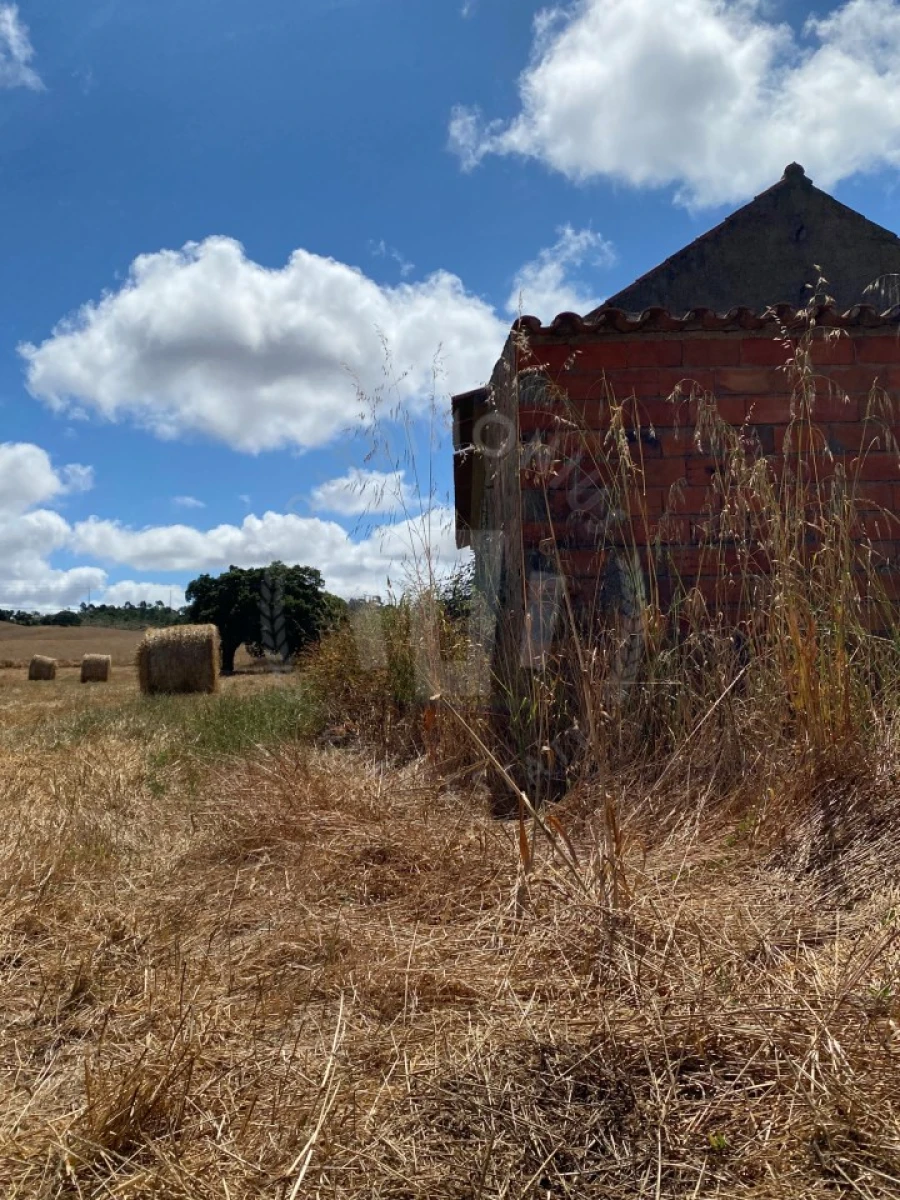 Quinta para Venda em Porto Covo Foto 24