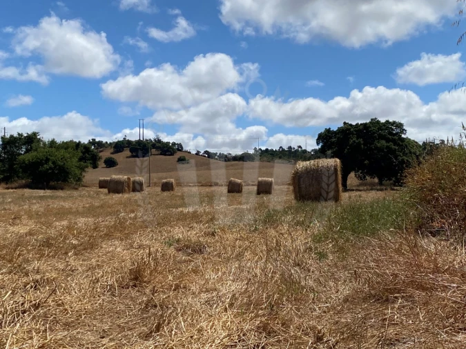 Quinta para Venda em Porto Covo Foto 25