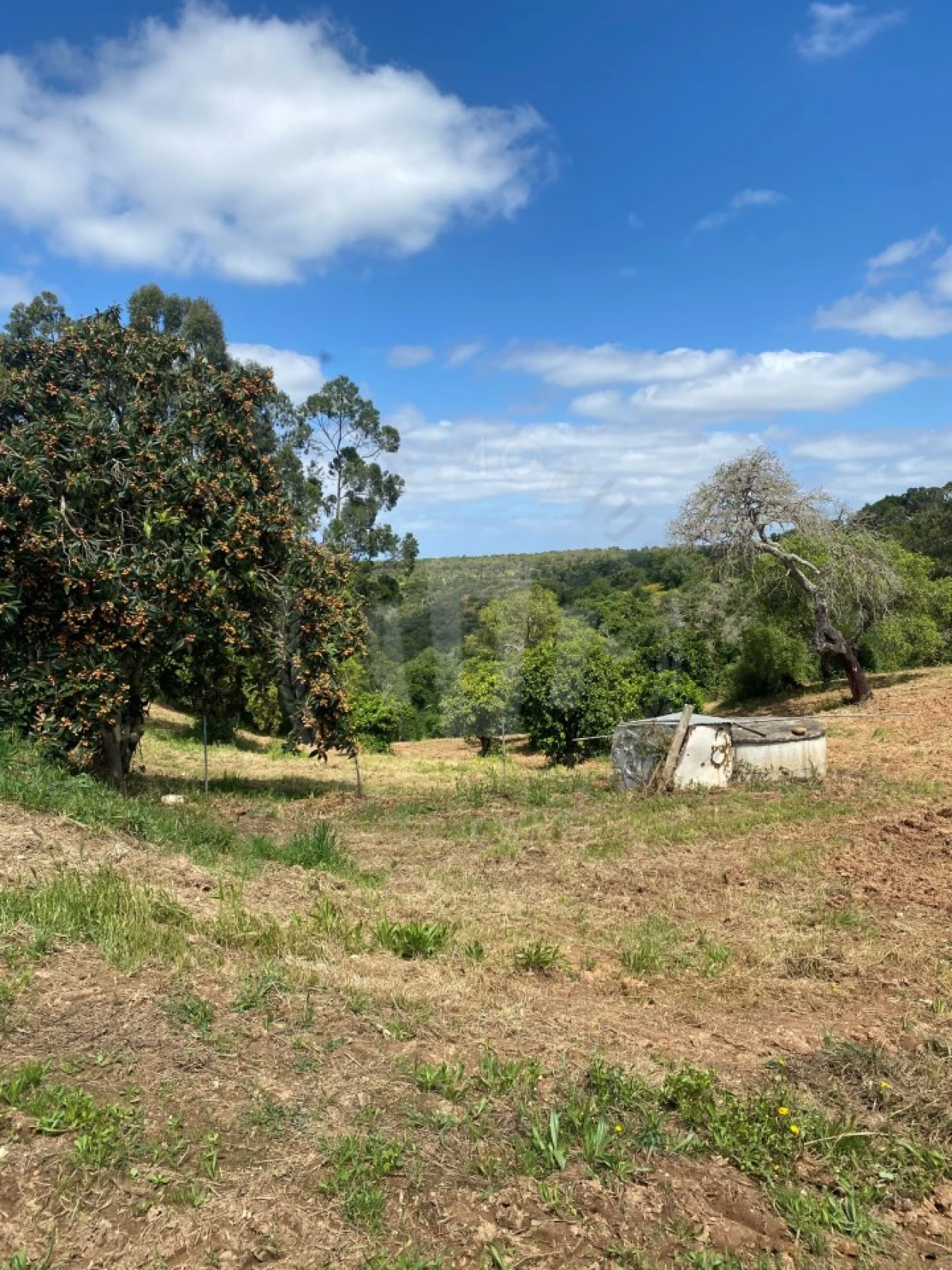 Quinta T2 para Venda em São Luis Foto 2