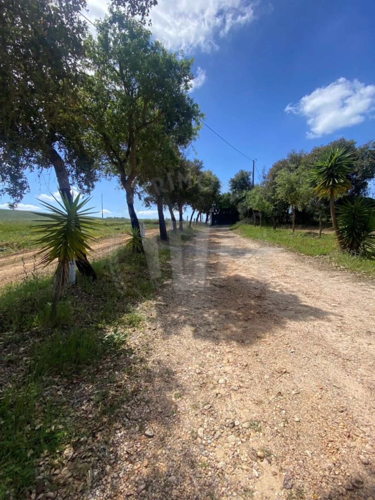 Quinta T2 para Venda em São Luis Foto 4