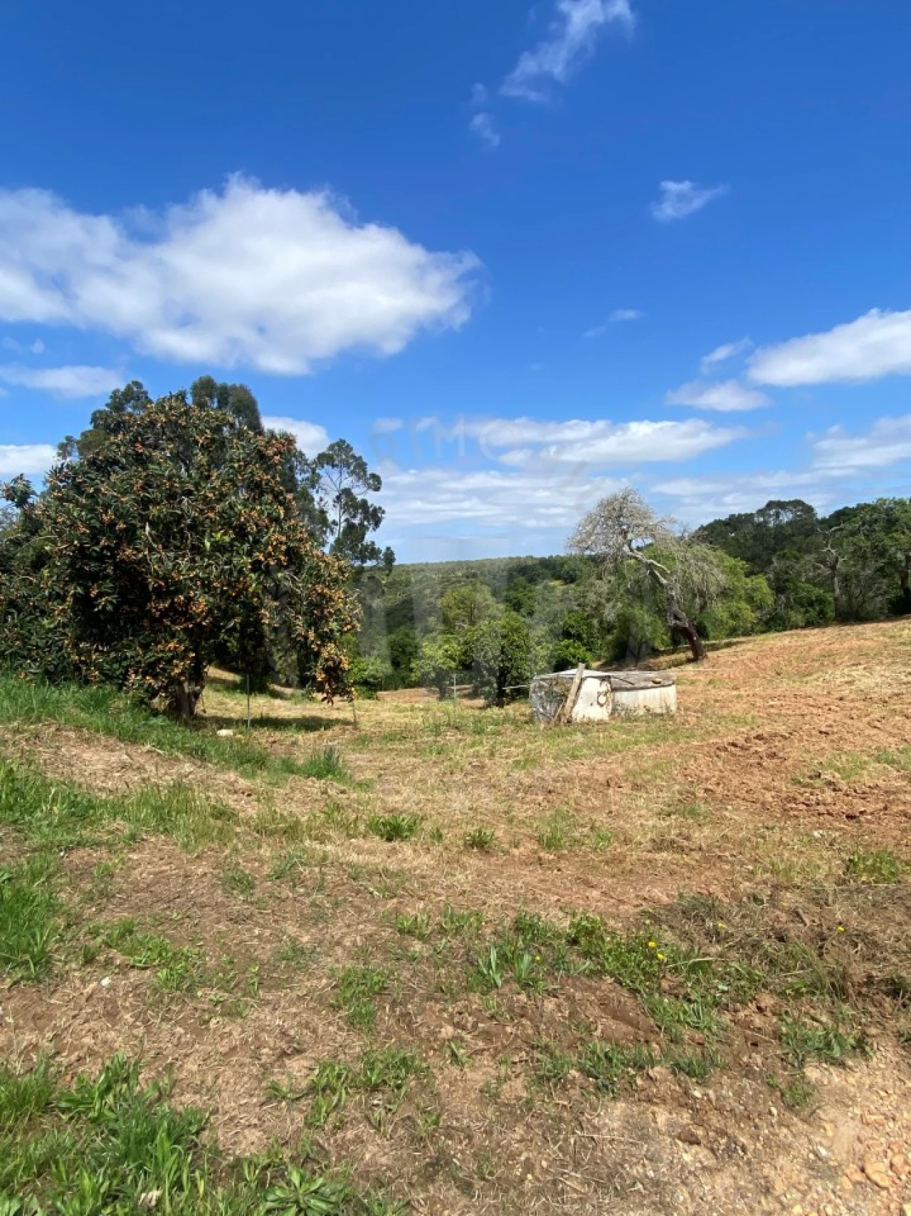 Quinta T2 para Venda em São Luis Foto 5