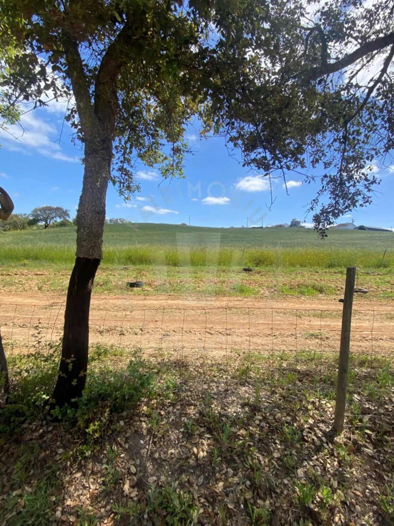 Quinta T2 para Venda em São Luis Foto 6