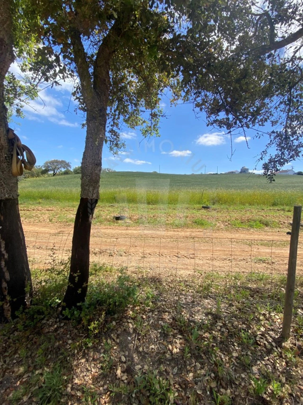 Quinta T2 para Venda em São Luis Foto 7