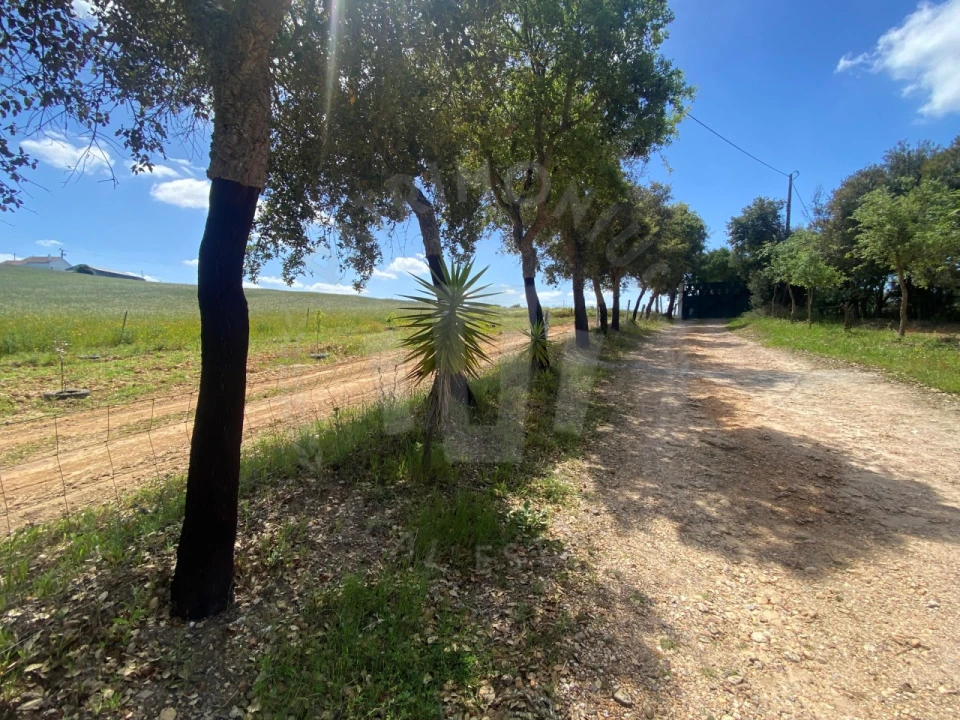 Quinta T2 para Venda em São Luis Foto 10