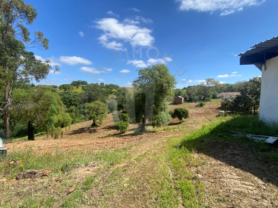 Quinta T2 para Venda em São Luis Foto 12