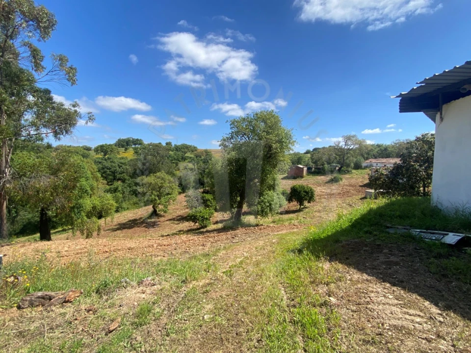 Quinta T2 para Venda em São Luis Foto 13