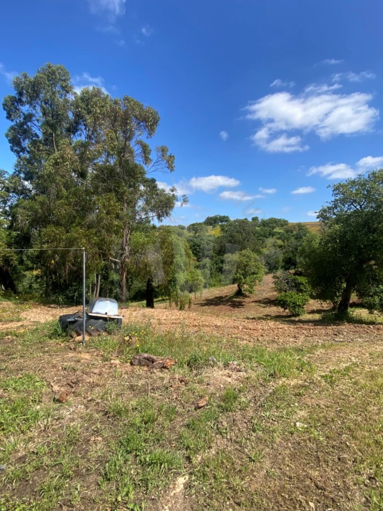 Quinta T2 para Venda em São Luis Foto 14