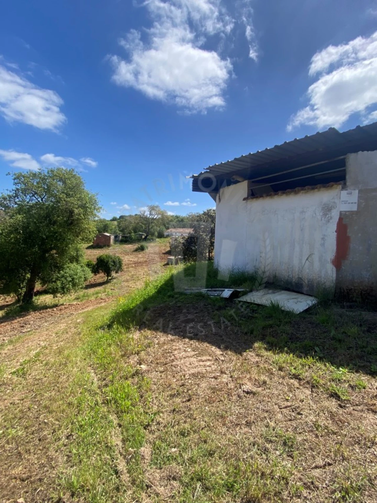 Quinta T2 para Venda em São Luis Foto 16
