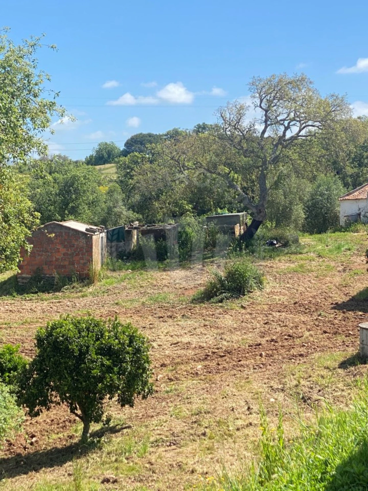Quinta T2 para Venda em São Luis Foto 18