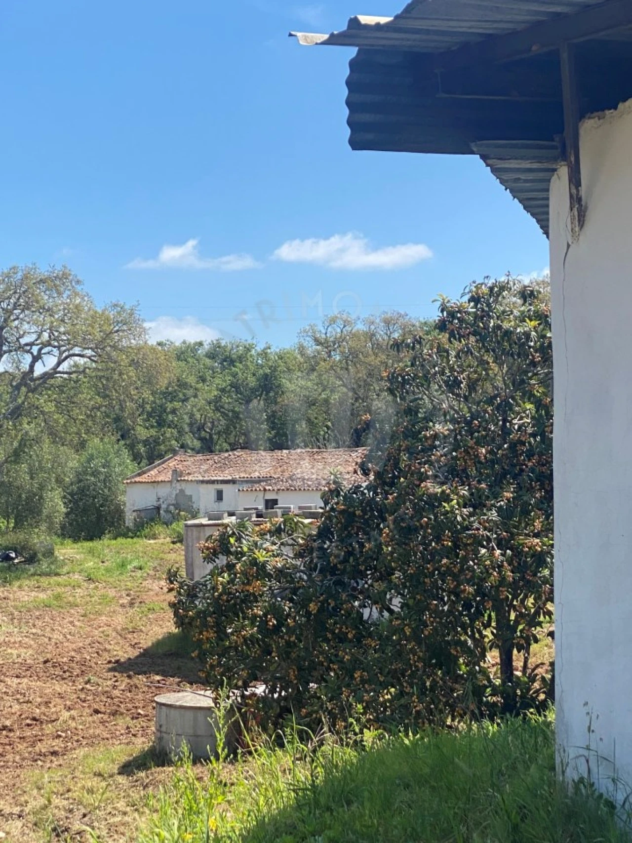 Quinta T2 para Venda em São Luis Foto 19