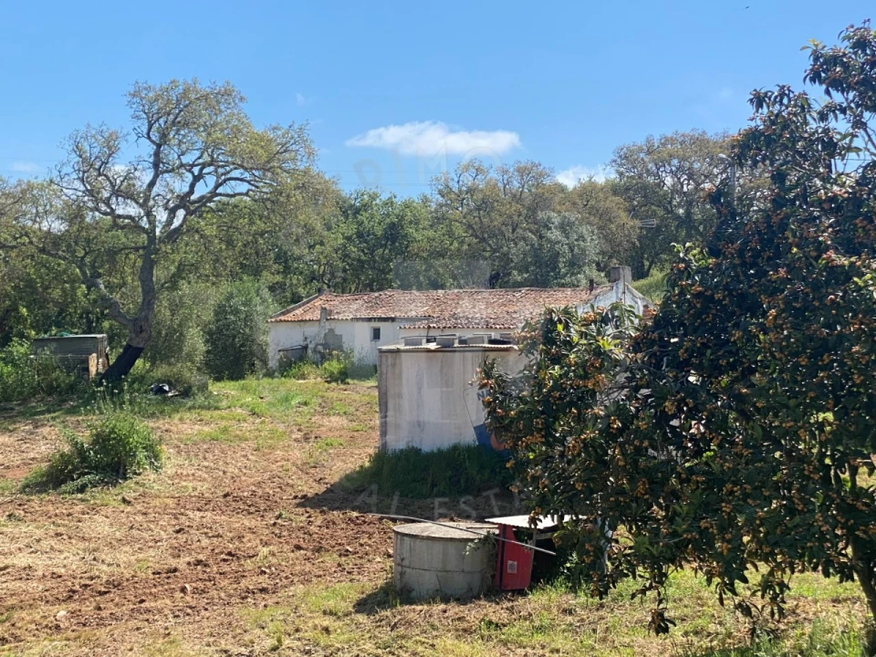 Quinta T2 para Venda em São Luis Foto 22