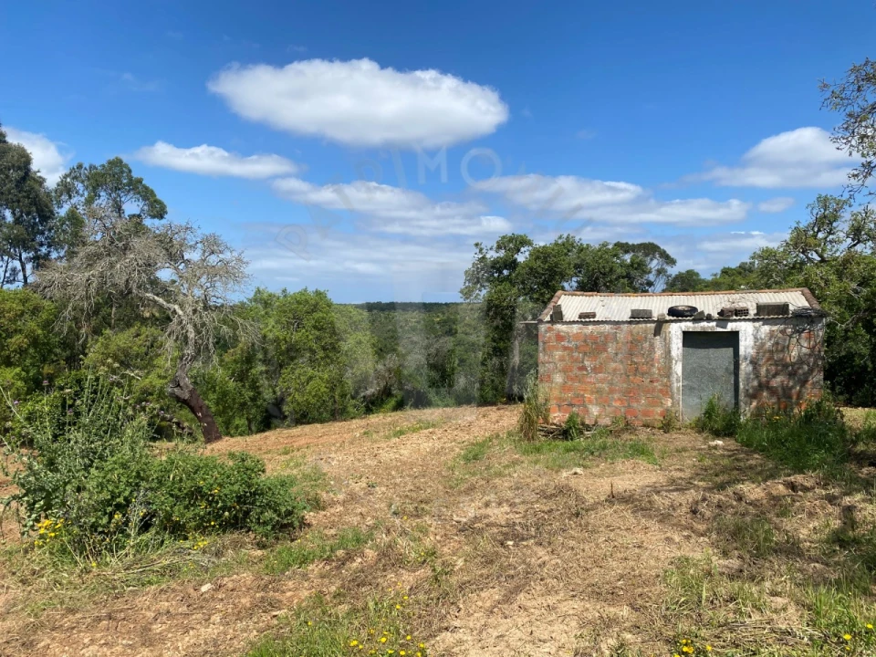Quinta T2 para Venda em São Luis Foto 23
