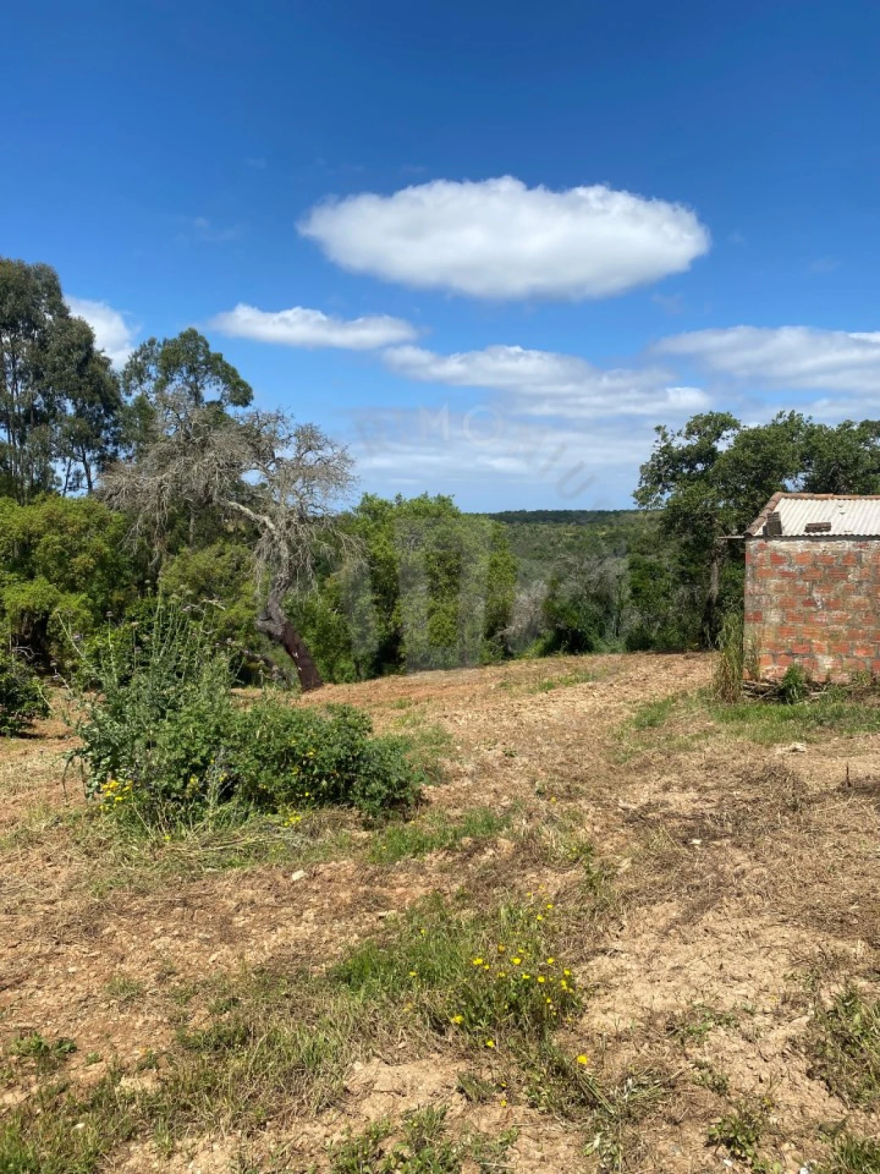 Quinta T2 para Venda em São Luis Foto 24