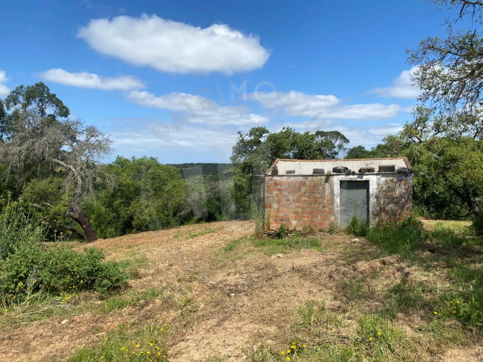 Quinta T2 para Venda em São Luis Foto 25