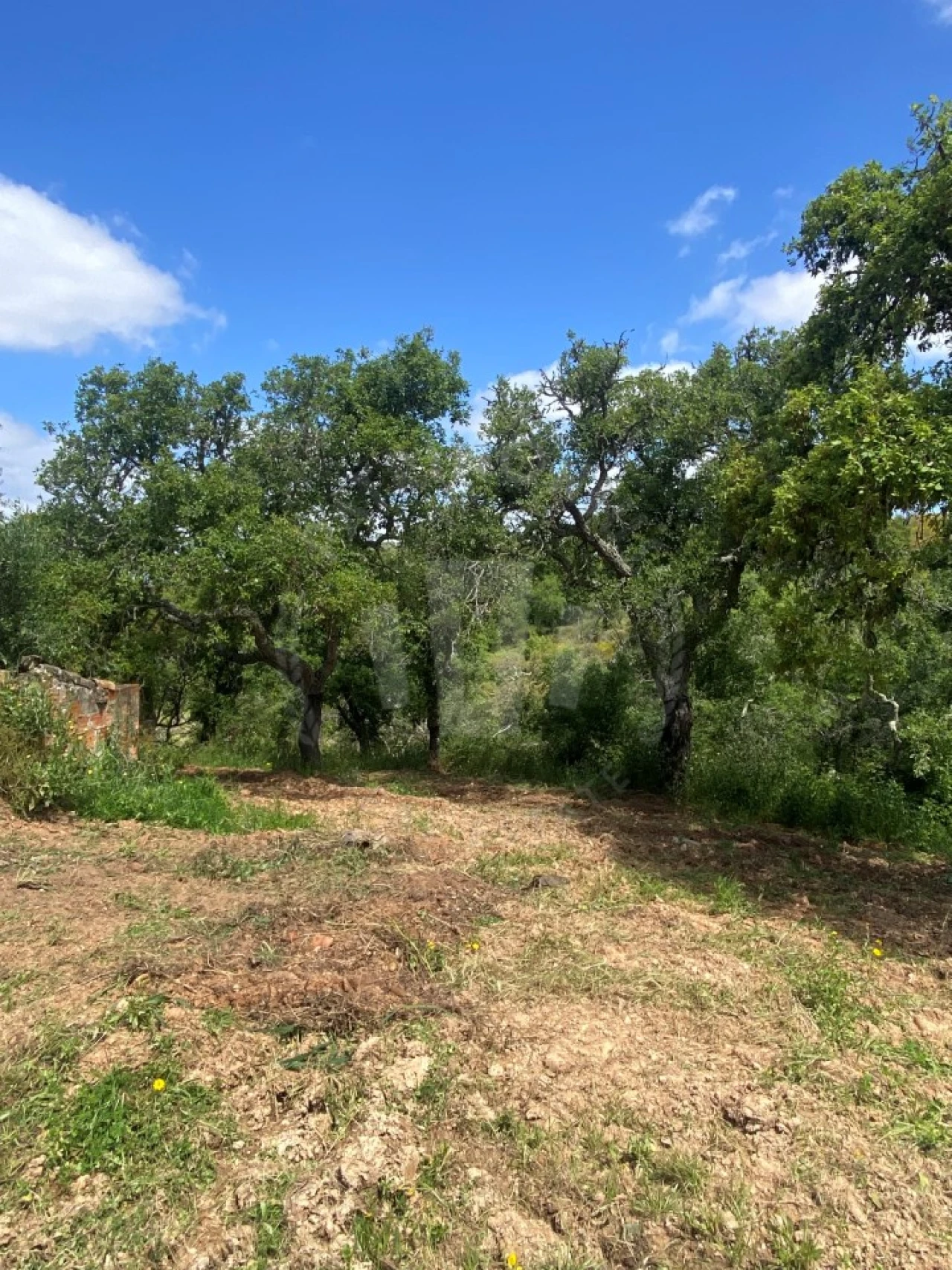 Quinta T2 para Venda em São Luis Foto 32