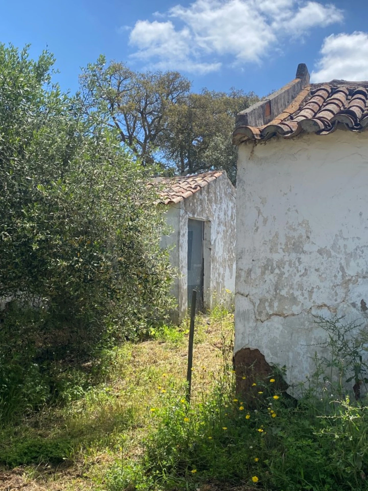 Quinta T2 para Venda em São Luis Foto 33