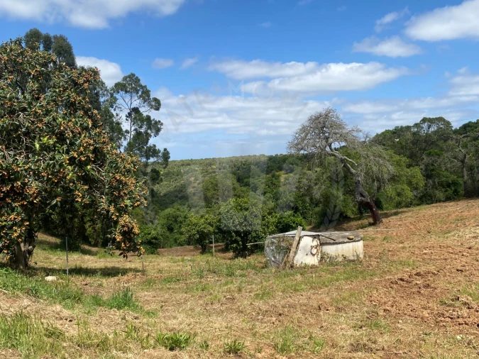 Quinta T2 para Venda em São Luis