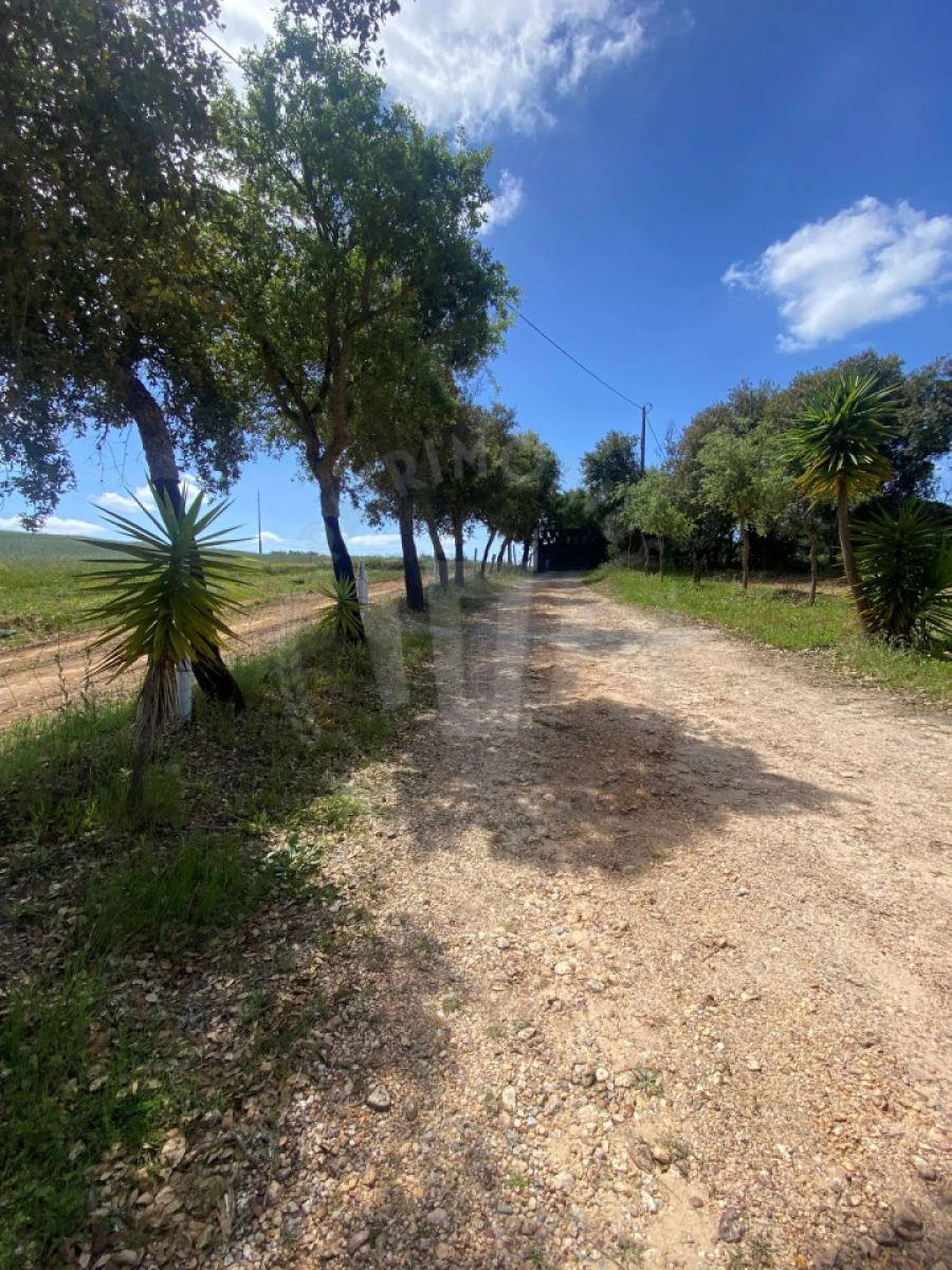 Quinta T2 para Venda em São Luis Foto 4