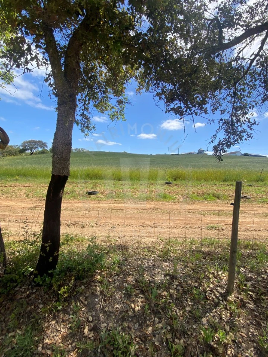 Quinta T2 para Venda em São Luis Foto 6