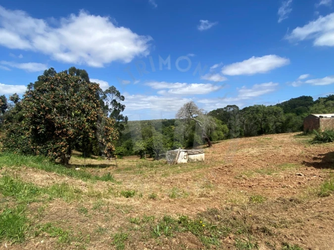 Quinta T2 para Venda em São Luis Foto 8