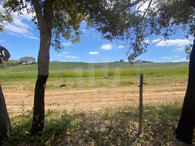 Quinta T2 para Venda em São Luis Foto 9