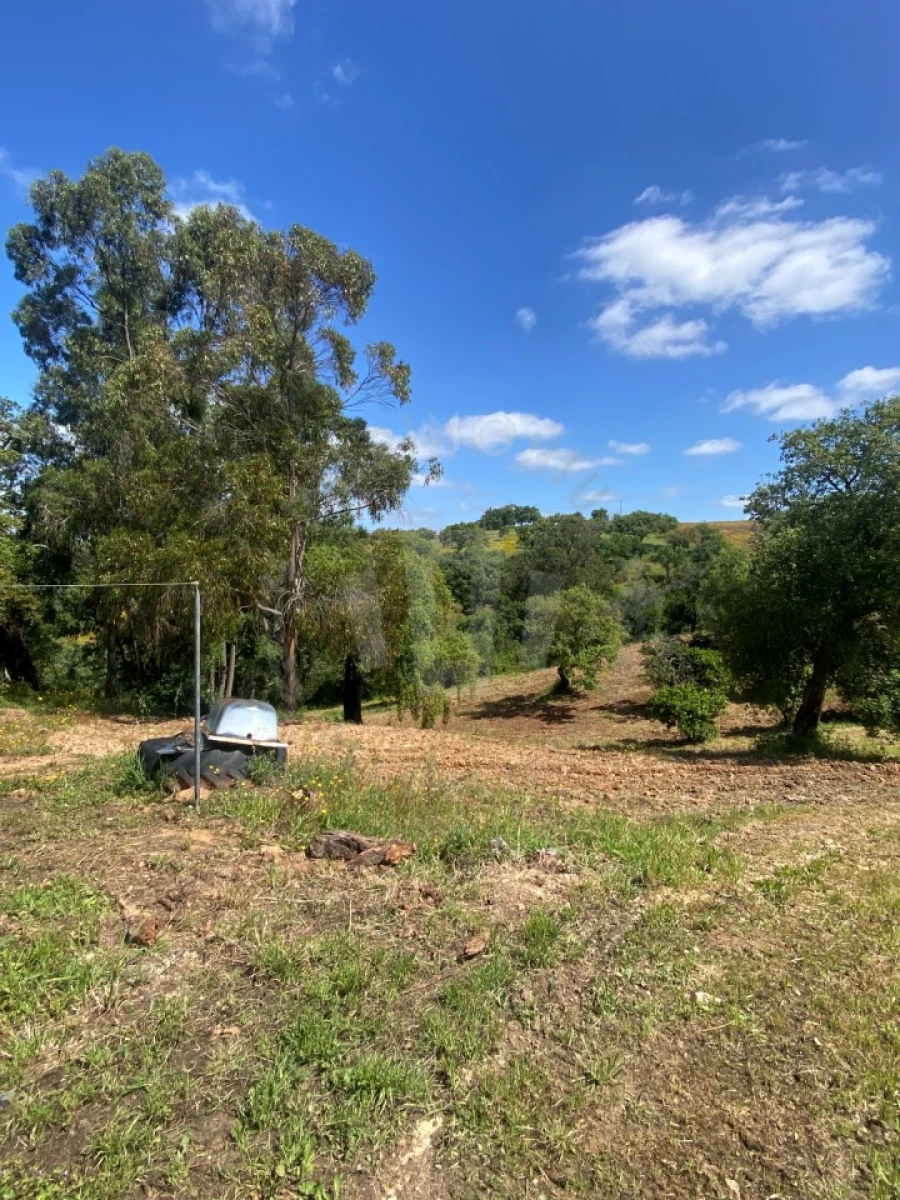 Quinta T2 para Venda em São Luis Foto 14