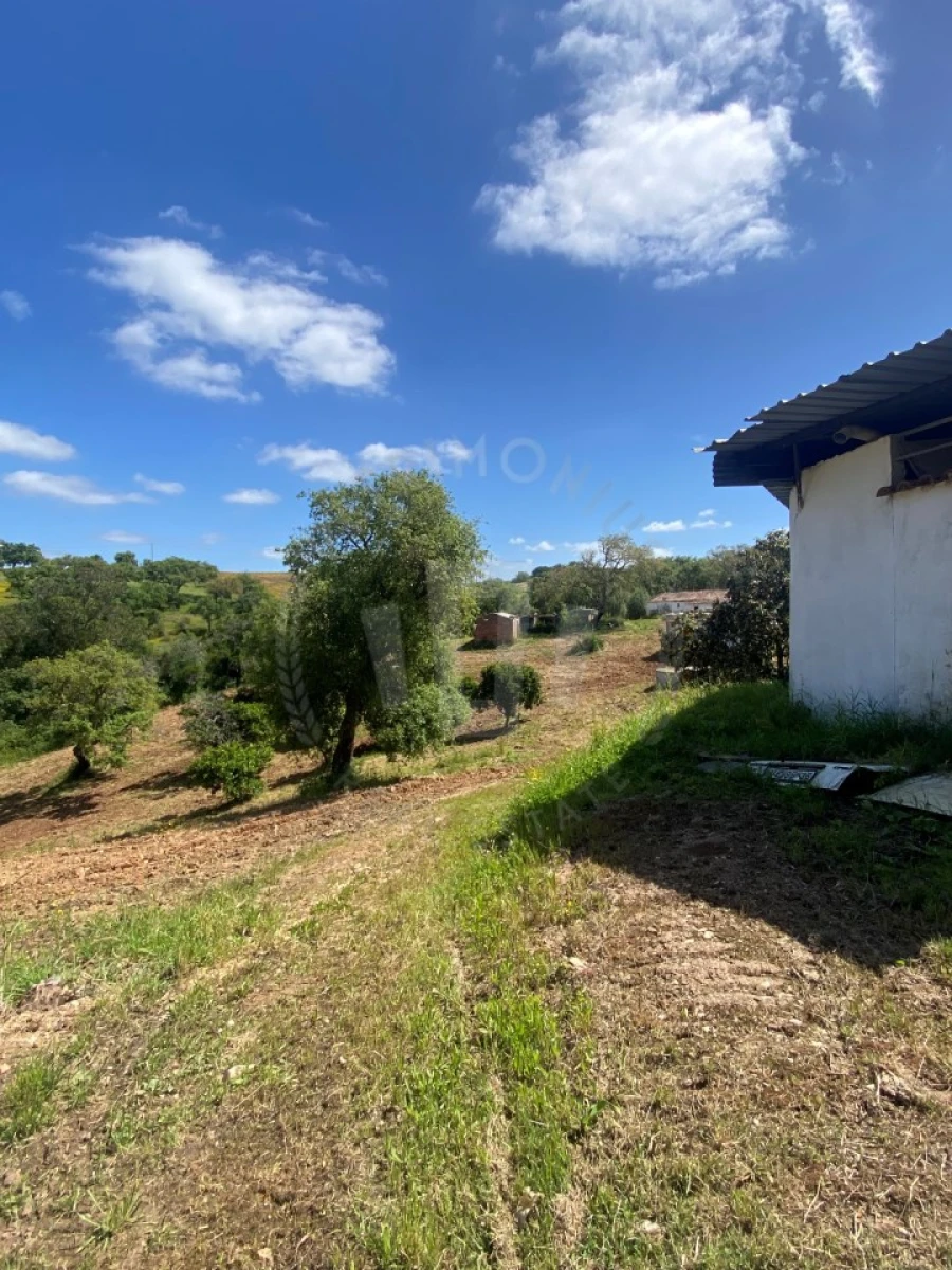 Quinta T2 para Venda em São Luis Foto 15