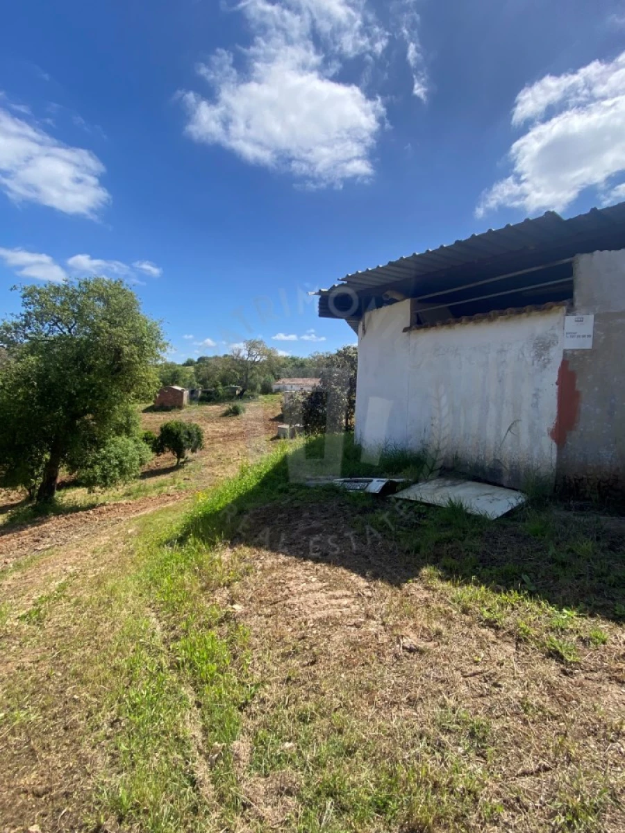 Quinta T2 para Venda em São Luis Foto 16