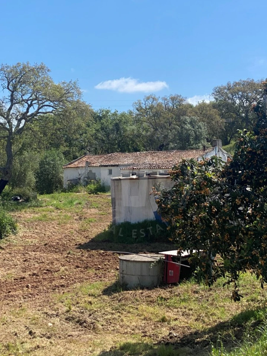 Quinta T2 para Venda em São Luis Foto 20