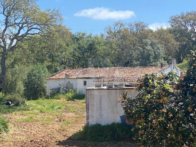 Quinta T2 para Venda em São Luis Foto 21
