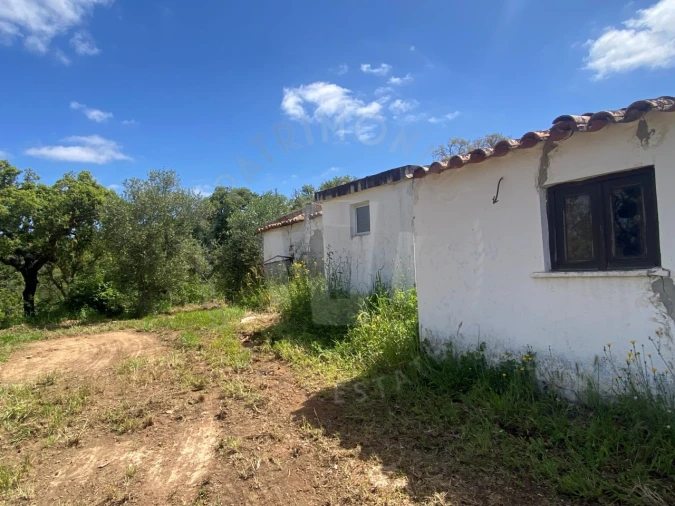 Quinta T2 para Venda em São Luis Foto 30