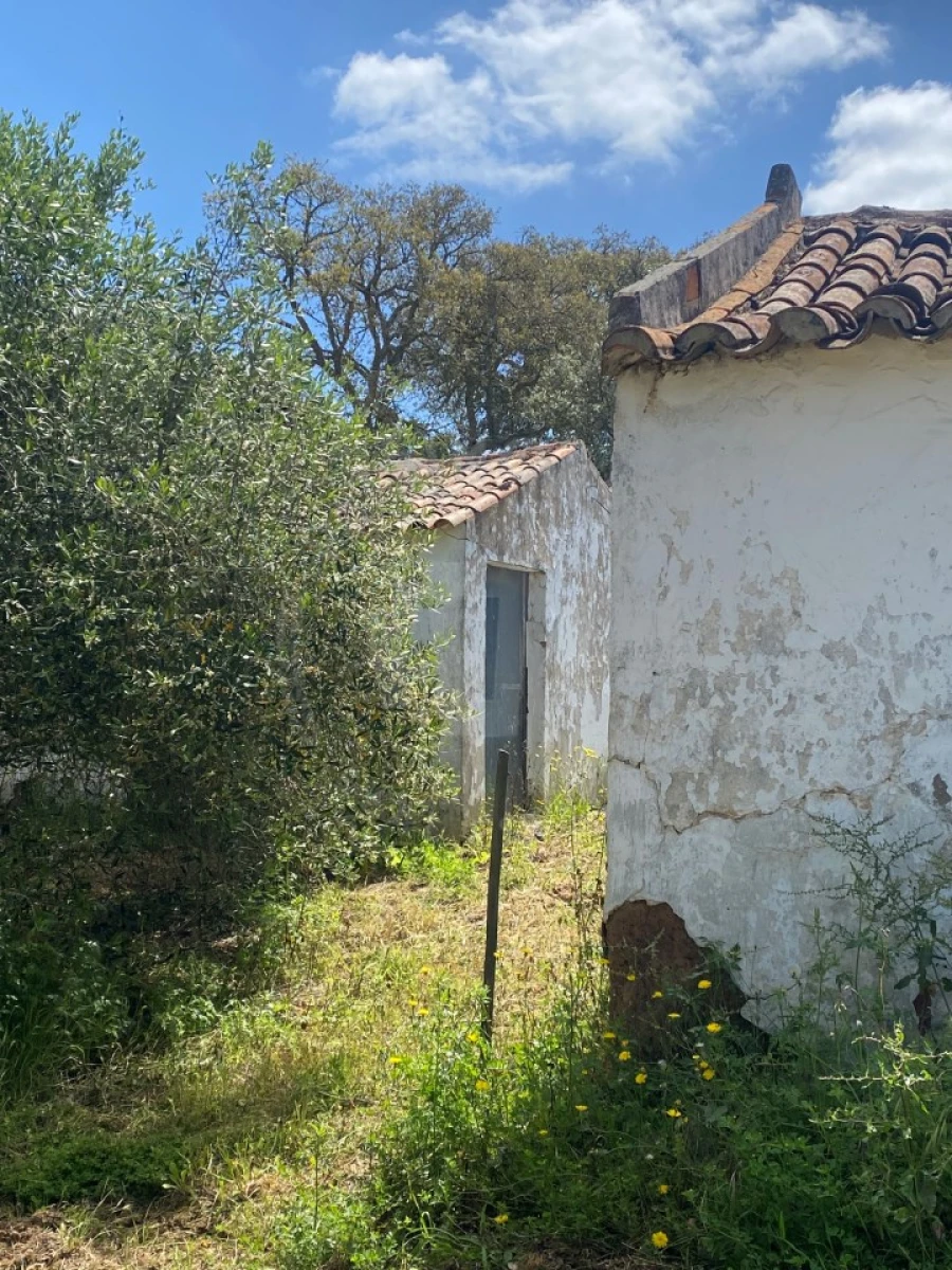 Quinta T2 para Venda em São Luis Foto 33
