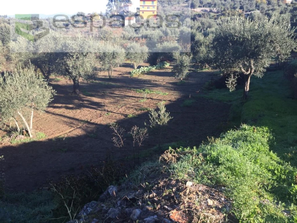 Moradia T4 para Venda em Lavacolhos Foto 53